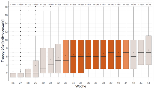 Diagramm 4 zur Kettenzählung 2025
