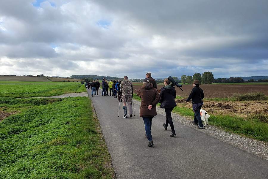 Wandergruppe auf dem Weg zwischen Feldern