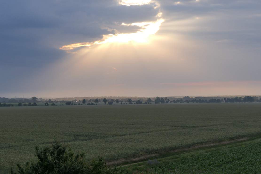 Sonnenuntergang über Agrarlandschaft
