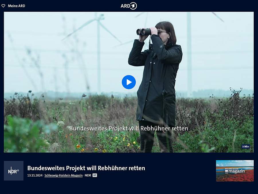 Eine Frau mit einem Fernglas auf einem Feld