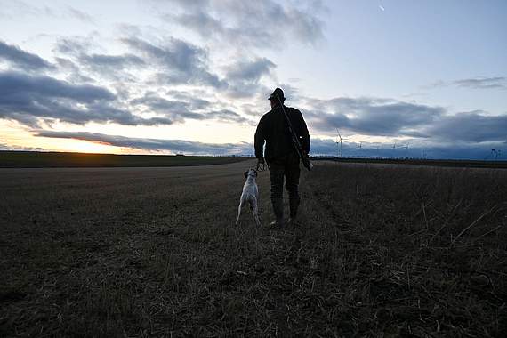 "Rebhuhn retten - Vielfalt fördern!": Ein Jäger am frühen Morgen, unterwegs im Revier. Bild: Alexander Weiß