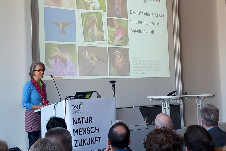Vortrag von Monika Riepl bei der Veranstaltung „Wiederherstellung in Agrarlandschaften – Wunsch oder Wirklichkeit?“ am 12. März 2026. Bild: Elisabeth Böhnlein/DVL
