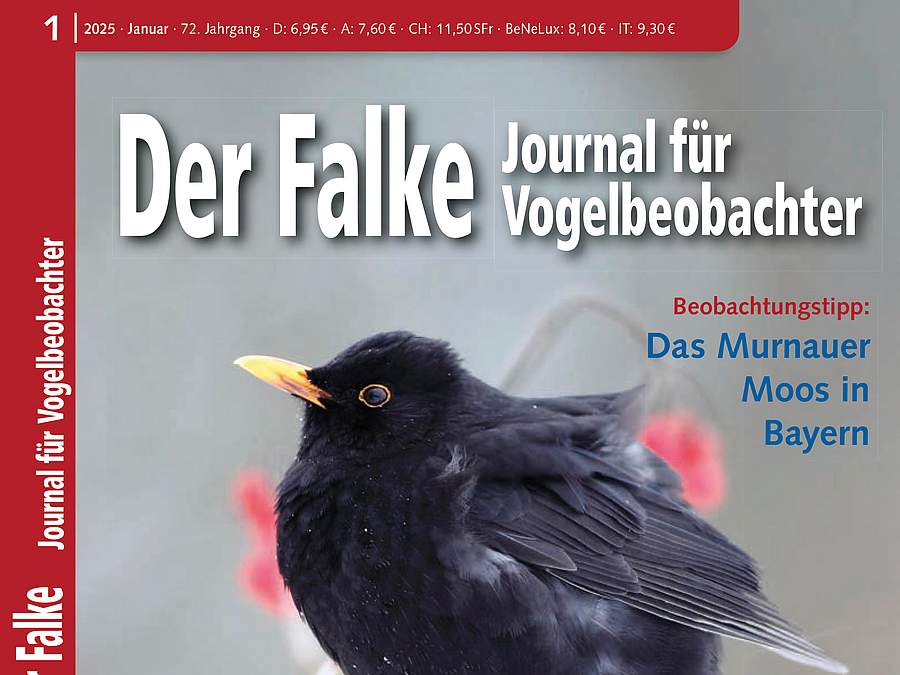 Deckblatt eines Journals mit dem Bild eines schwarzen Vogels