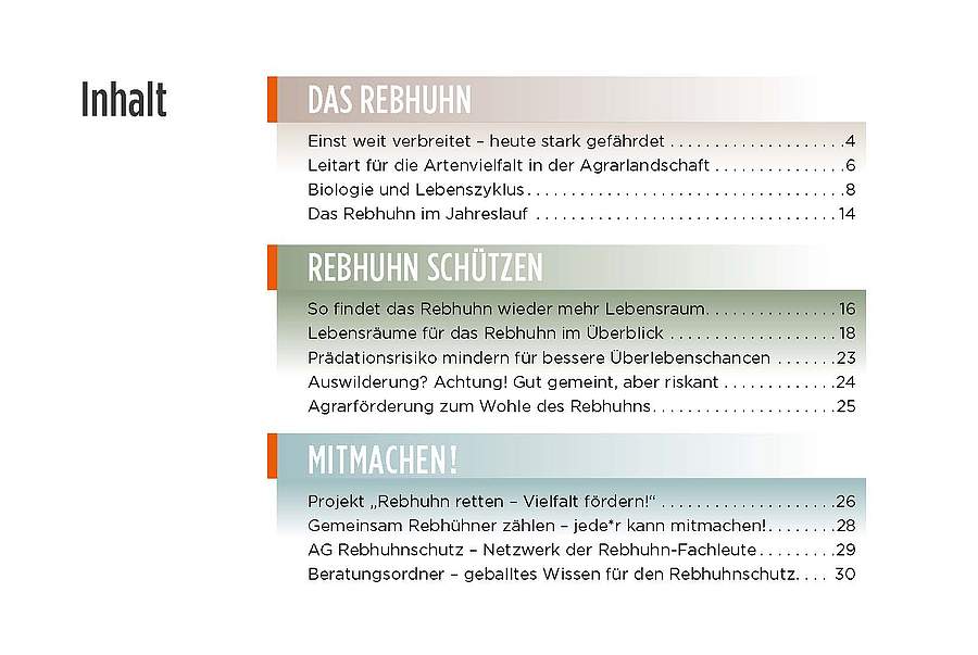 "Rebhuhn retten - Vielfalt fördern!": Inhaltsüberblick der neuen Broschüre. Bild: DVL