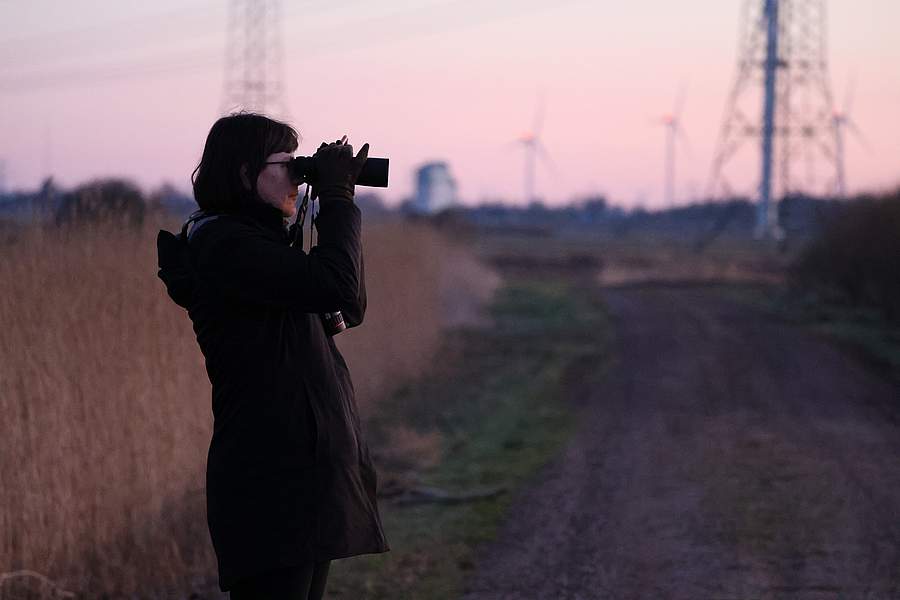 "Rebhuhn retten - Vielfalt fördern!": Kartiererin mit Fernglas. Bild: Karina Dreyer