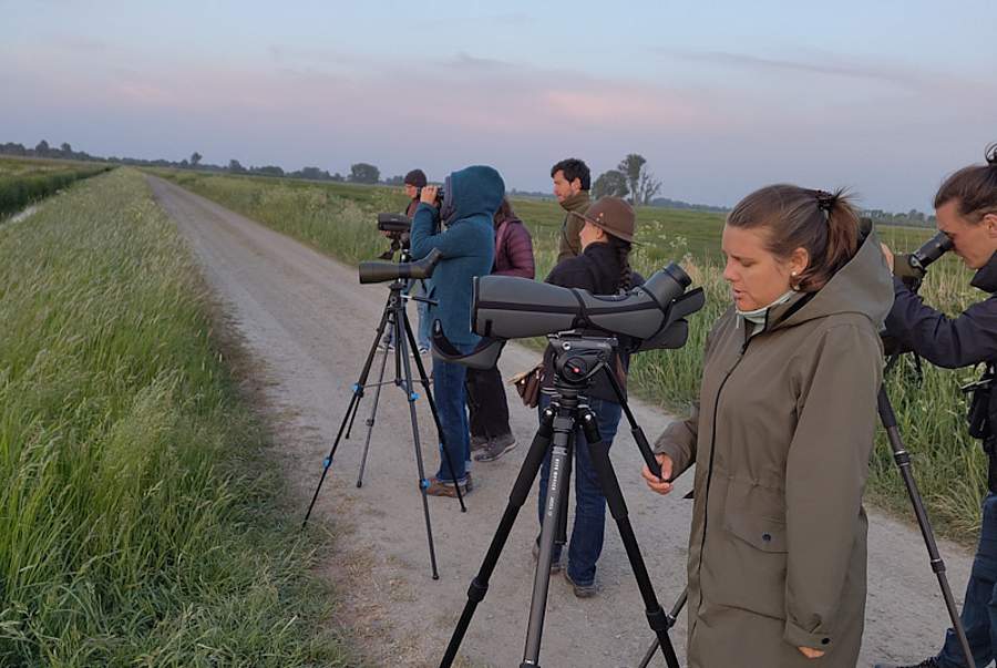 Menschen mit Fernglas bei der Vogelbeobachtung
