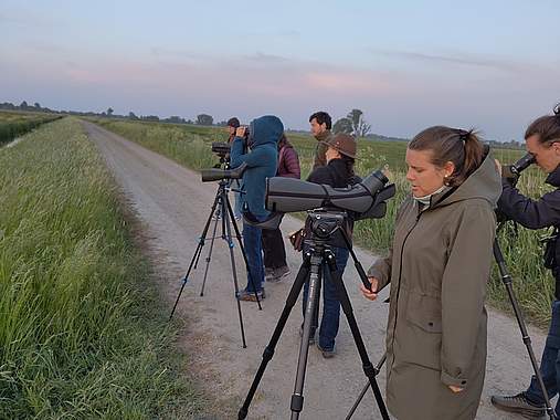 Rebhuhn retten - Vielfalt fördern! Menschen mit Fernglas bei der Vogelbeobachtung