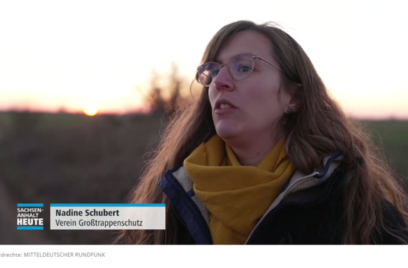 Screenshot eines Beitrages in der MDR-Mediathek