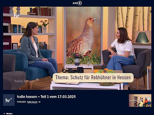 Rebhuhn retten - Vielfalt fördern! Screenshot eines Beitrags der ARD-Mediathek