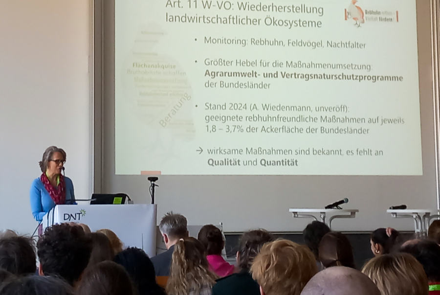 Vortrag von Monika Riepl bei der Veranstaltung „Wiederherstellung in Agrarlandschaften – Wunsch oder Wirklichkeit?“ am 12. März 2026. Bild: Elisabeth Böhnlein/DVL