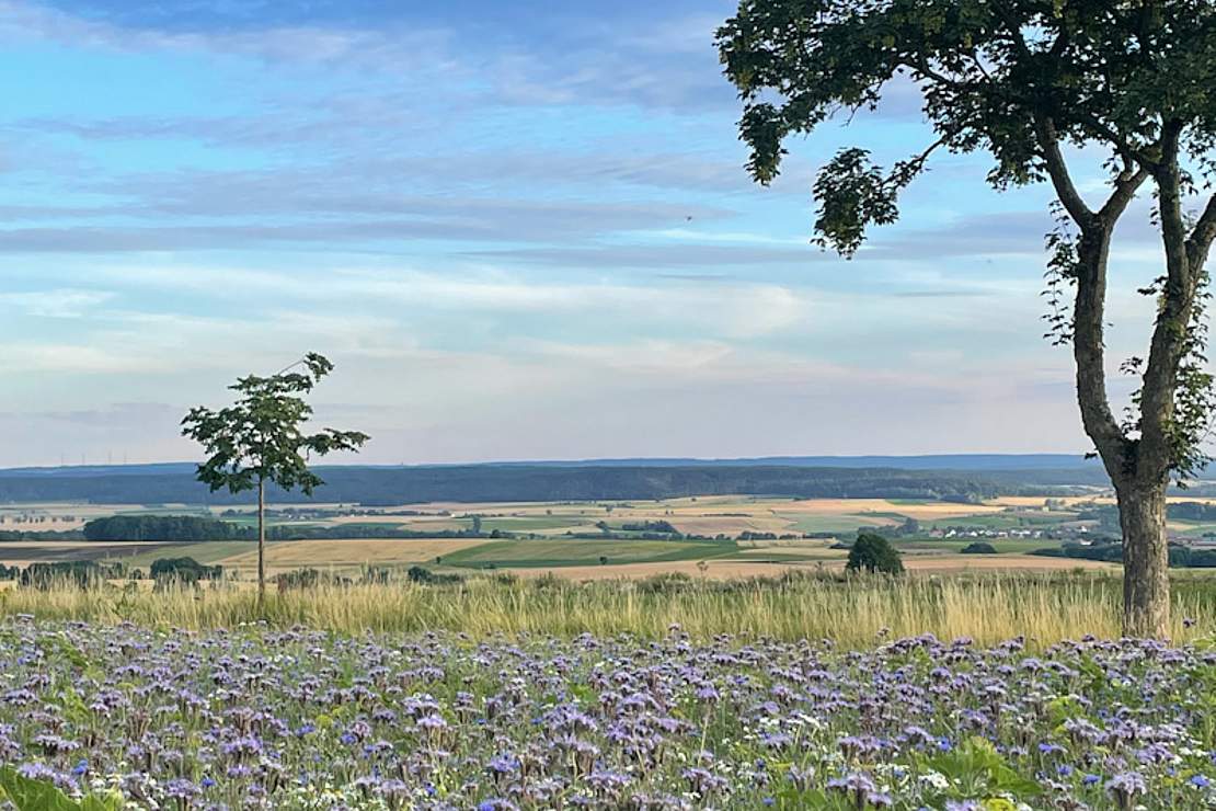 Landschaft