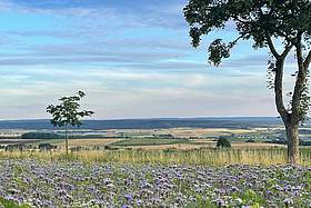Landschaft