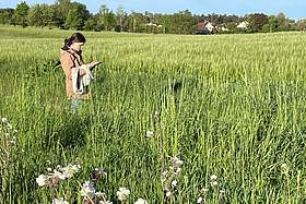 Frau in Wiese