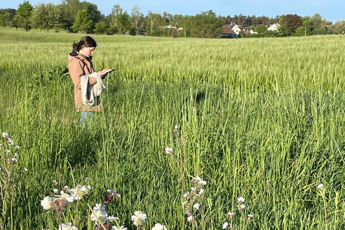 Frau in Wiese