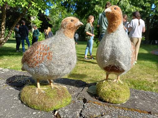 Rebhuhn retten - Vielfalt fördern! Zwei gefilzte Rebhühner vor einer Gruppe im Garten
