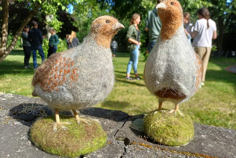 Zwei gefilzte Rebhühner vor einer Gruppe im Garten
