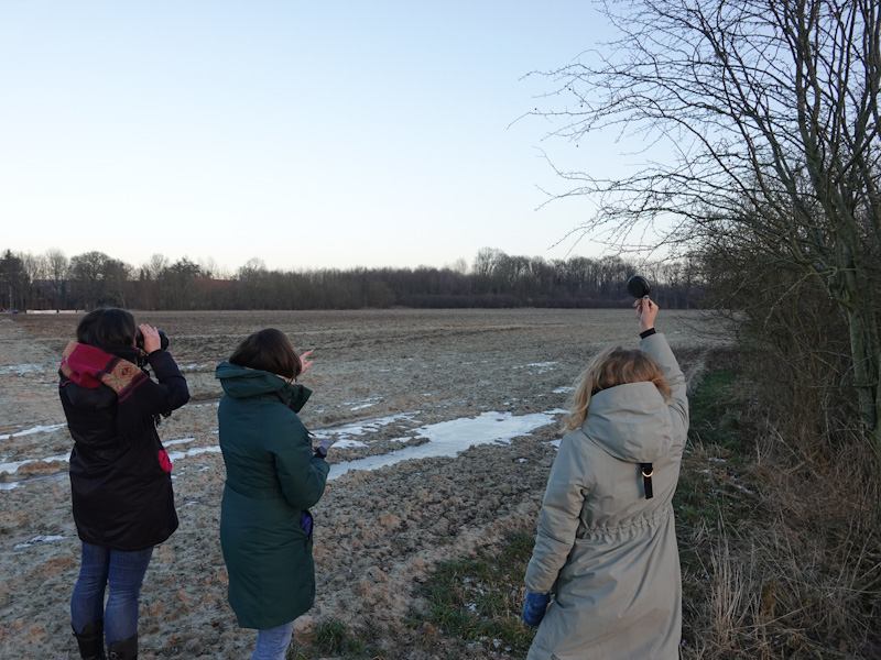 Drei Frauen mit Fernglas und Lautsprecher in der Abenddämmerung auf dem Feld.