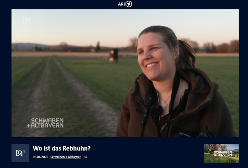 Screenshot eine Beitrags auf dem eine Frau lacht.