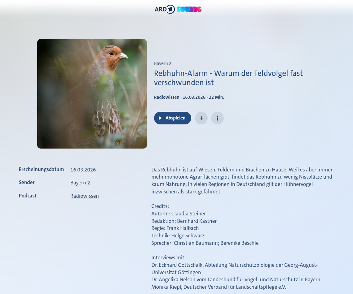 Bild: Screenshot ARD-Mediathek